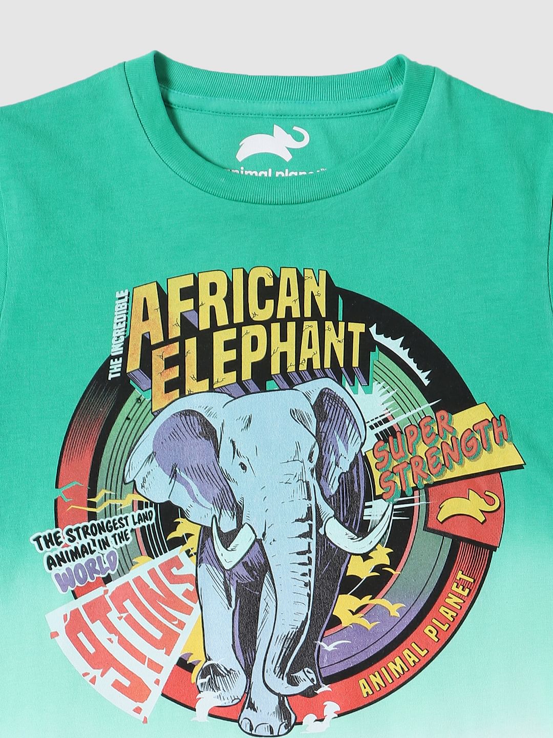 BOYS X ANIMAL PLANET Green Ombre Graphic Crew Neck T-shirt