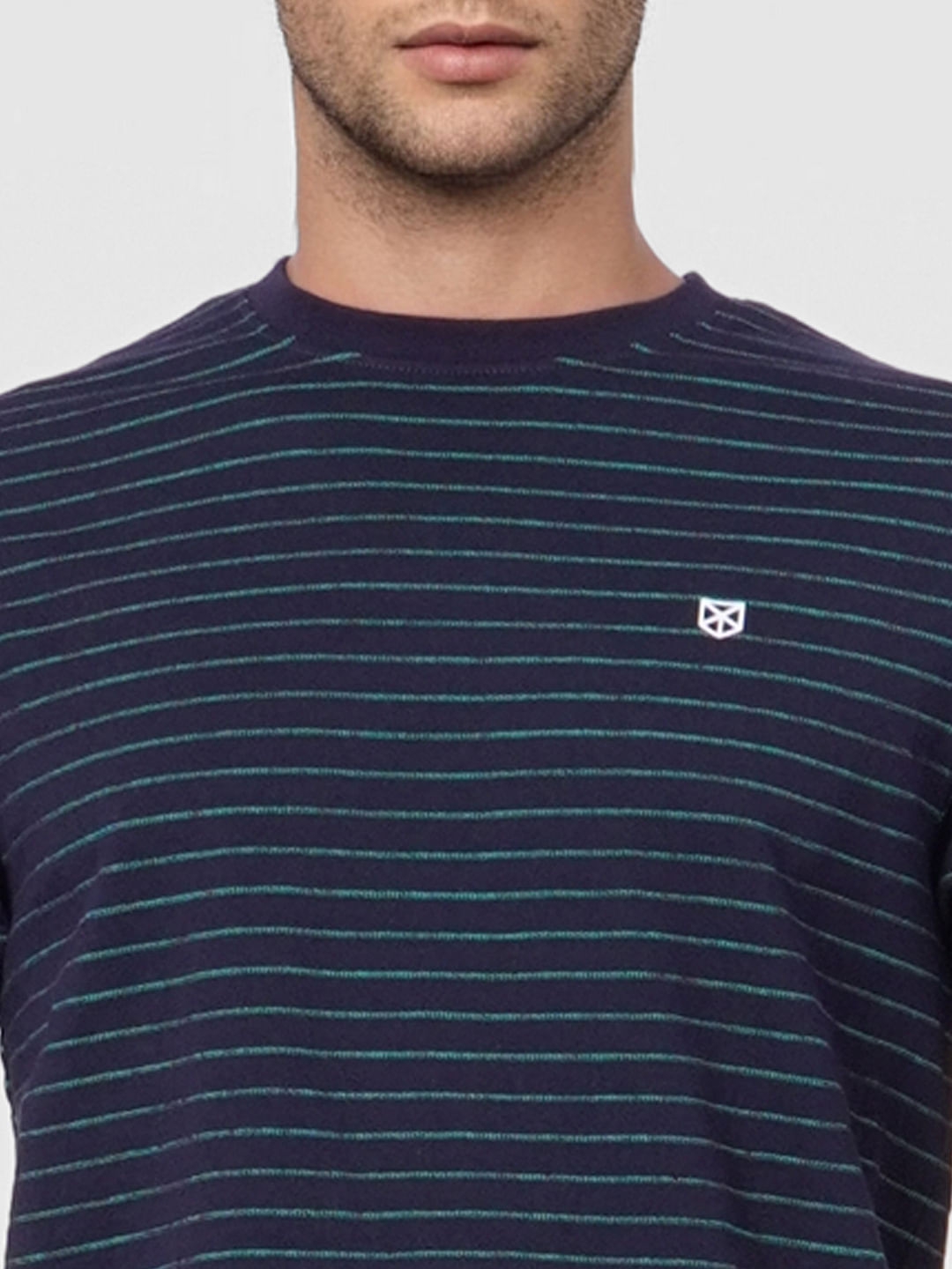 Blue Striped Crew Neck T-shirt
