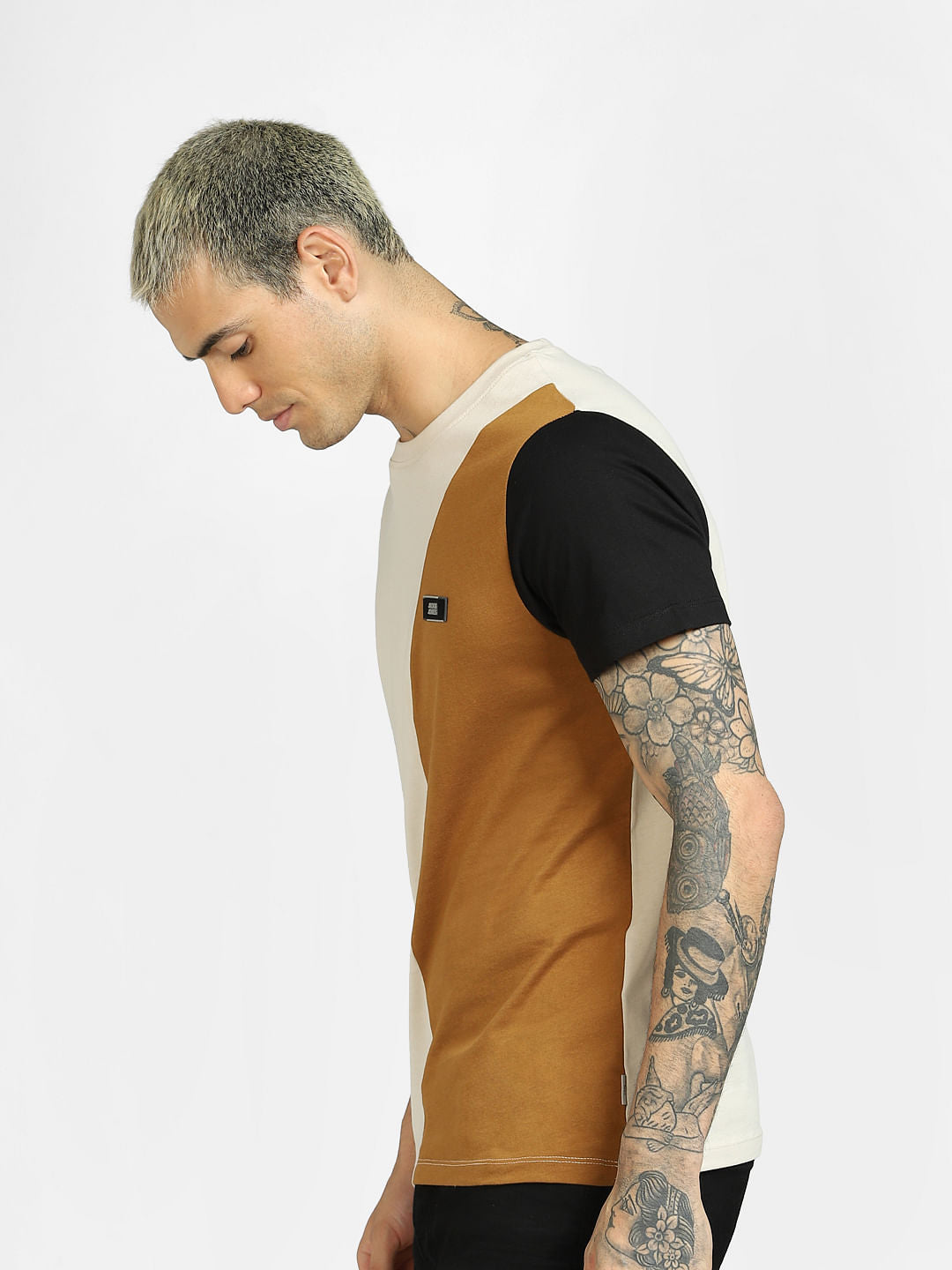 Brown Colourblocked Crew Neck T-shirt
