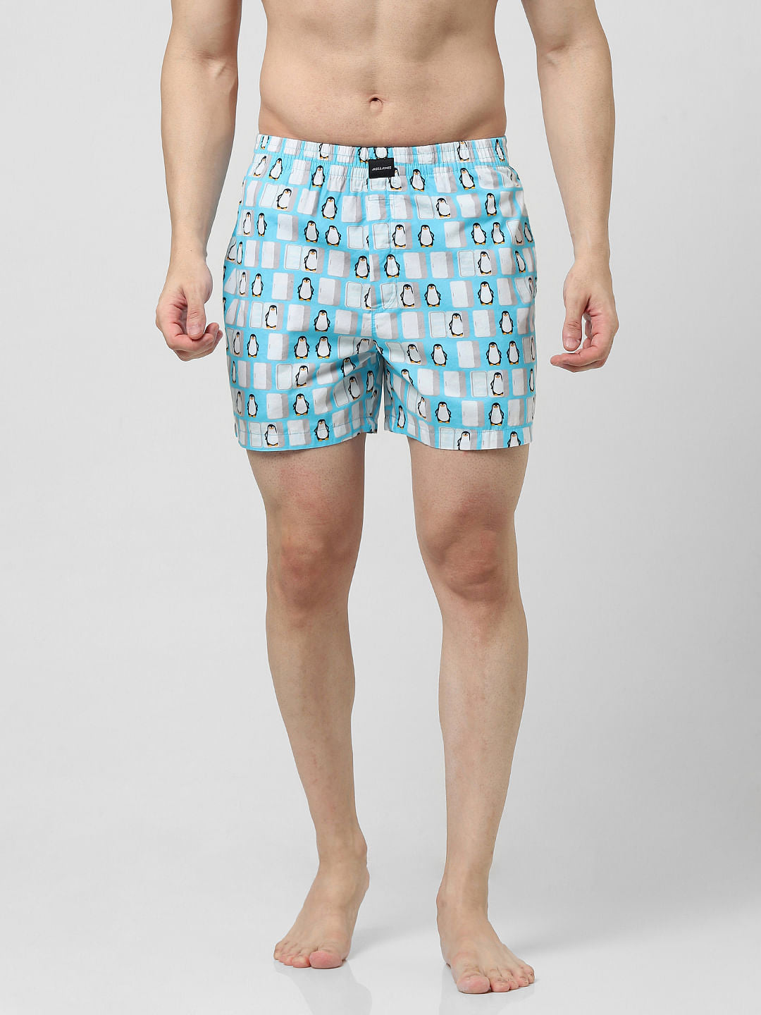 Blue Penguin Print Boxers