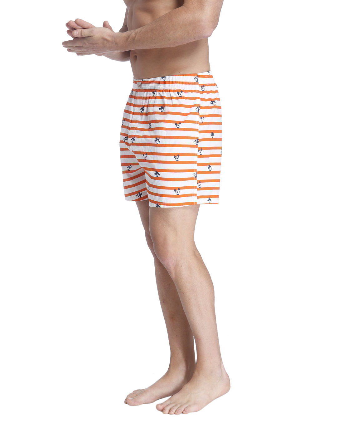 Boxer