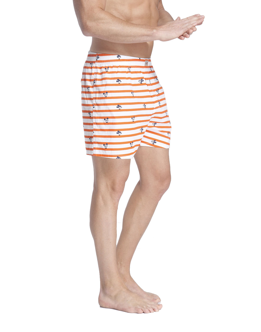 Boxer