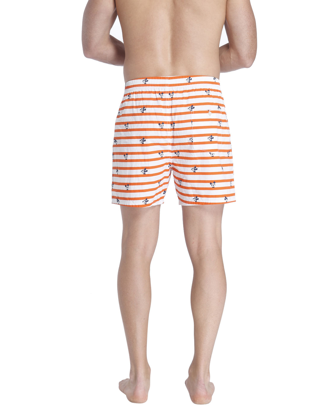 Boxer