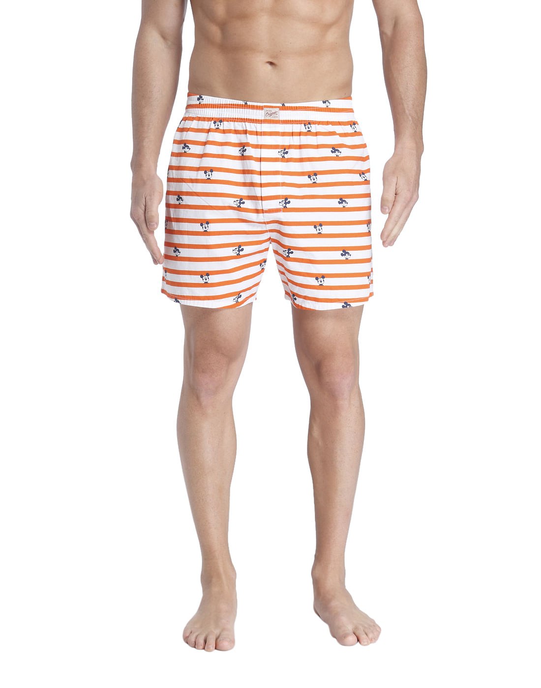 Boxer - S