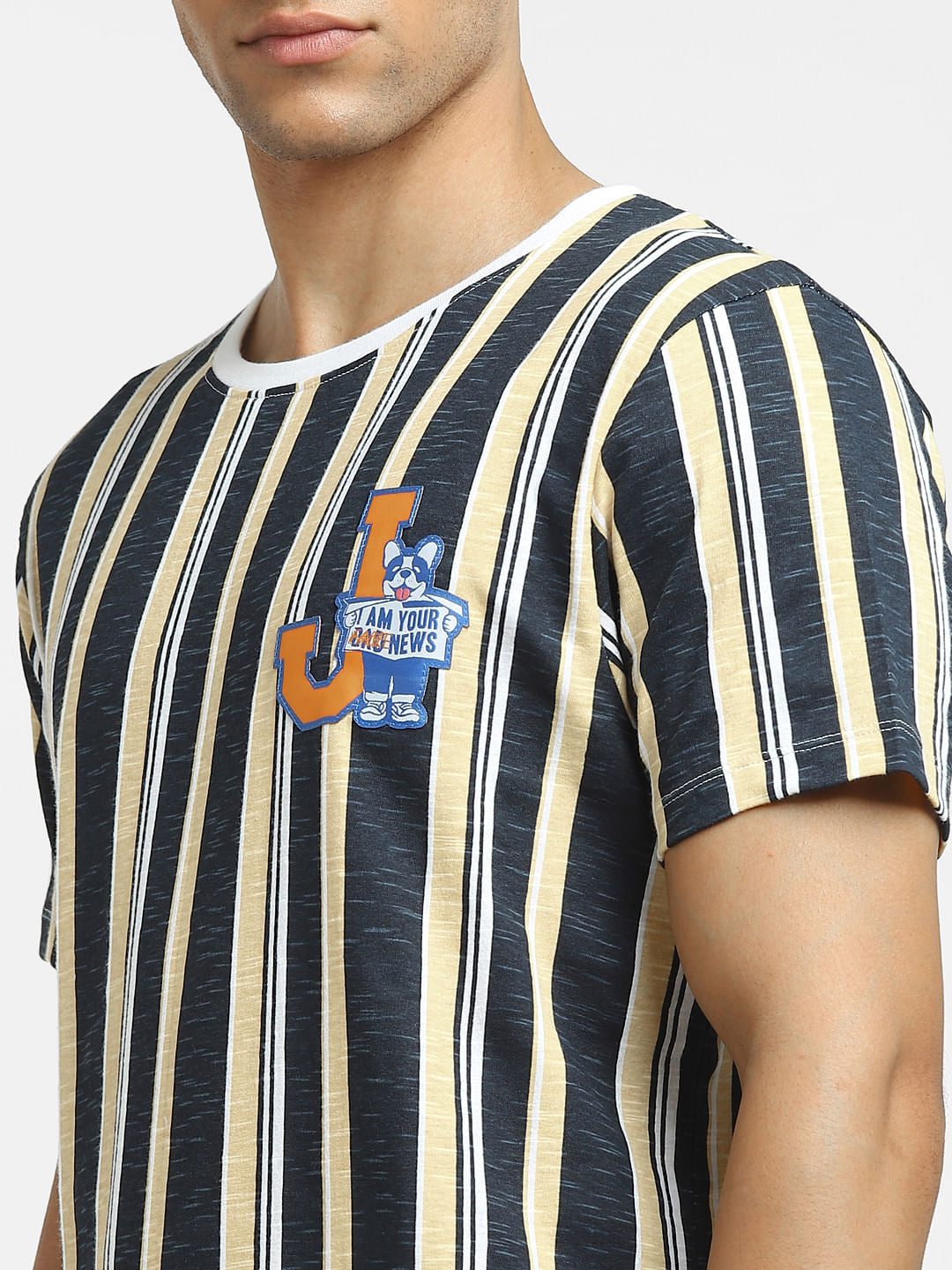 Blue Striped Crew Neck T-shirt