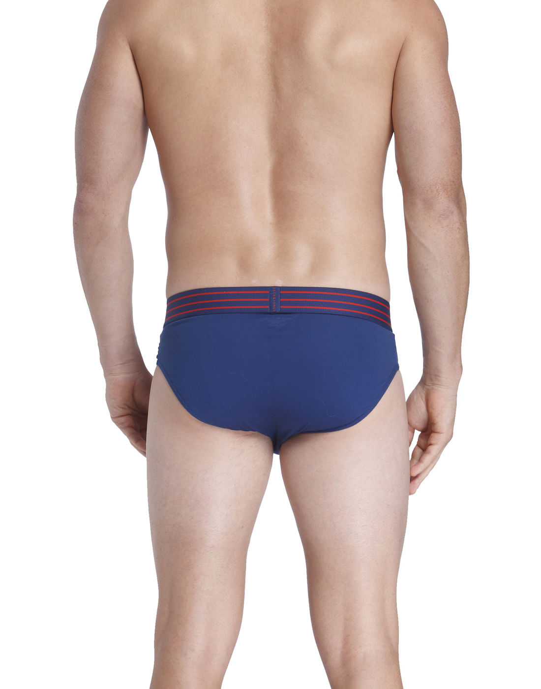 Brief