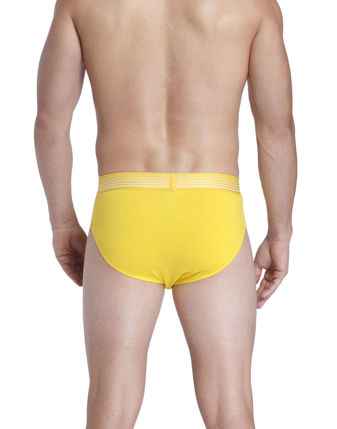 Brief