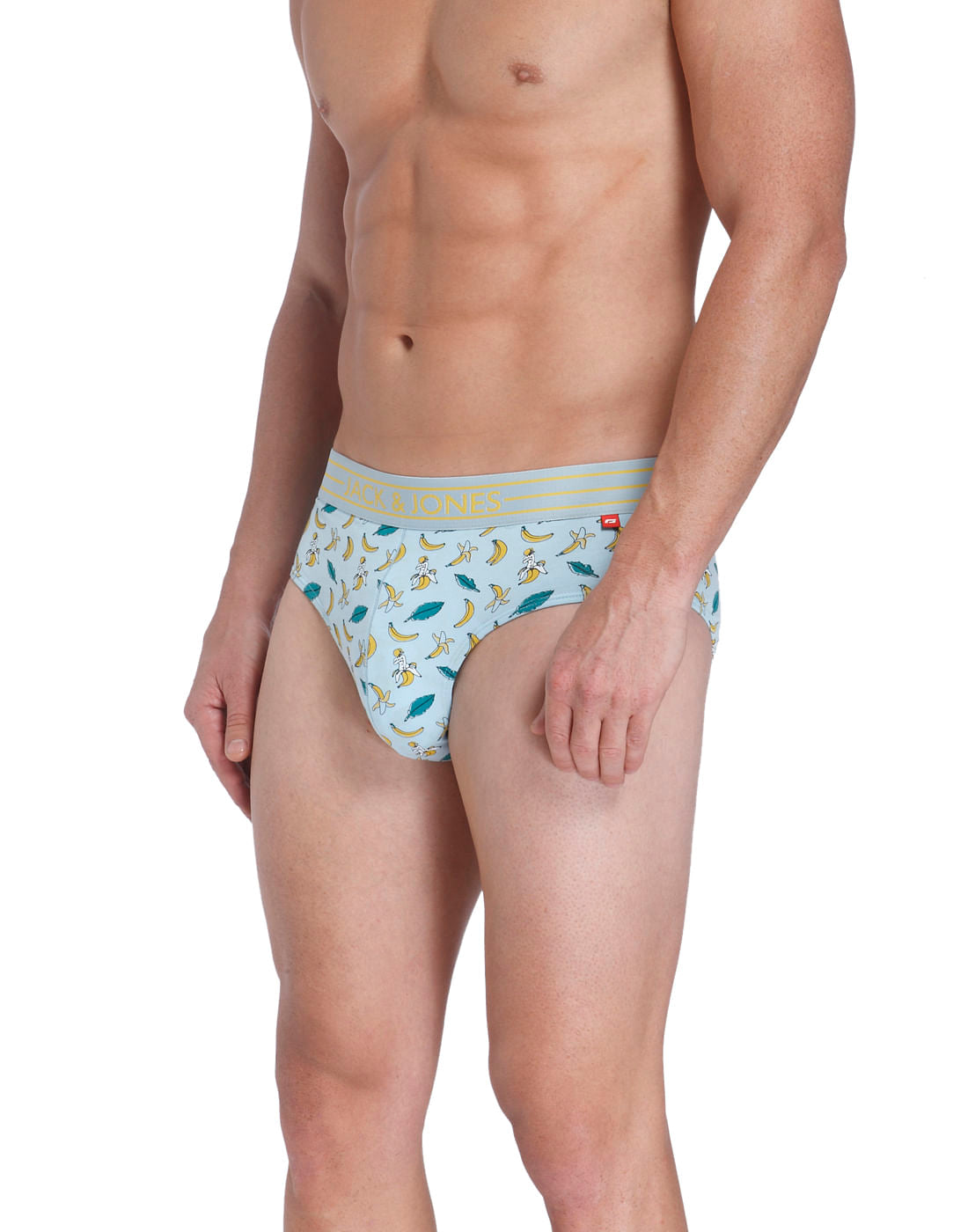 Brief
