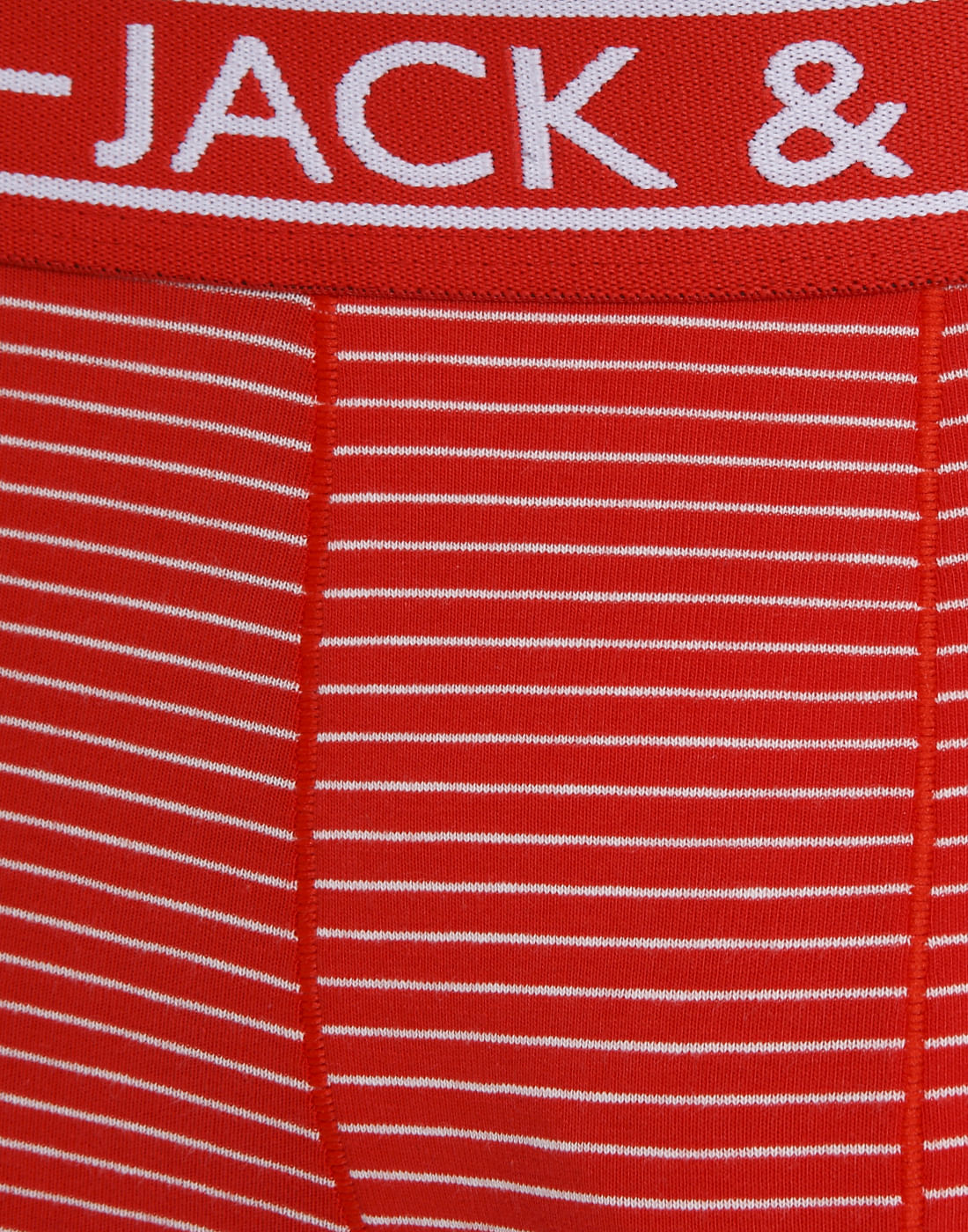 Trunk