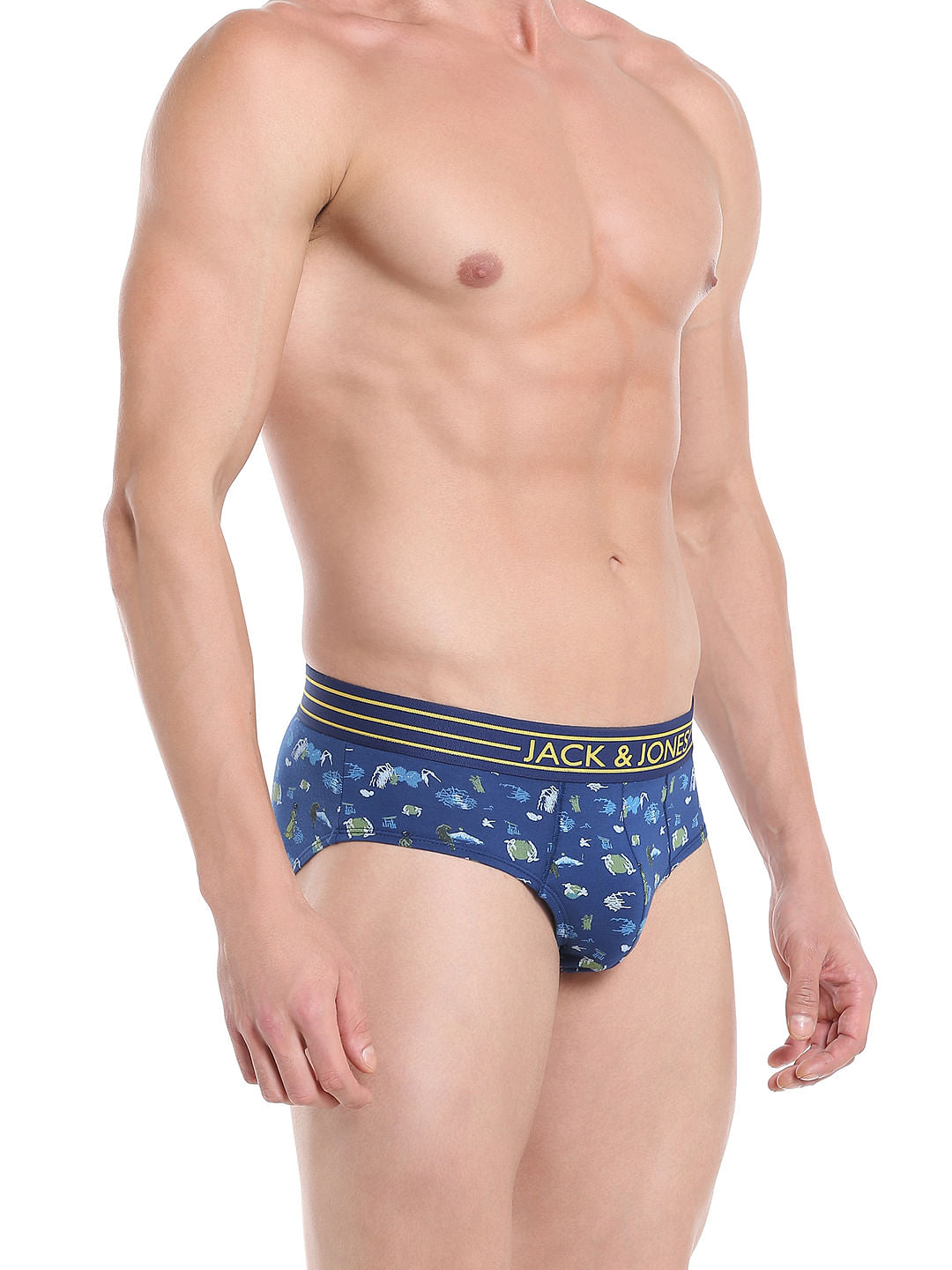 Brief