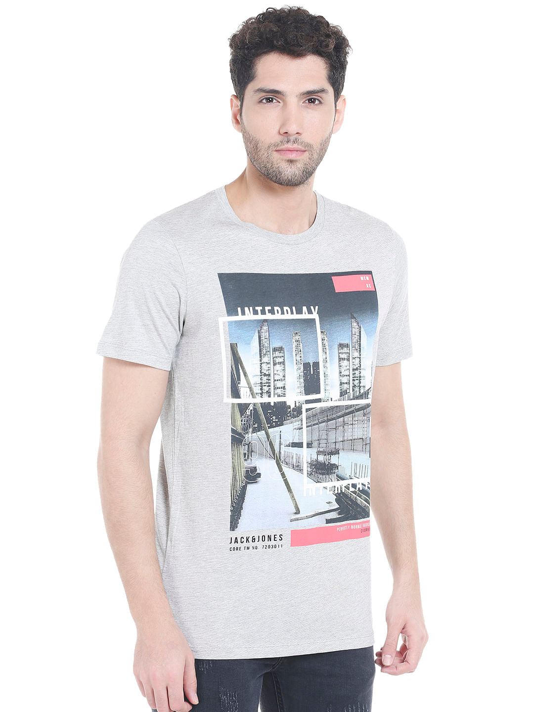 Grey Graphic Print Crew Neck T-shirt