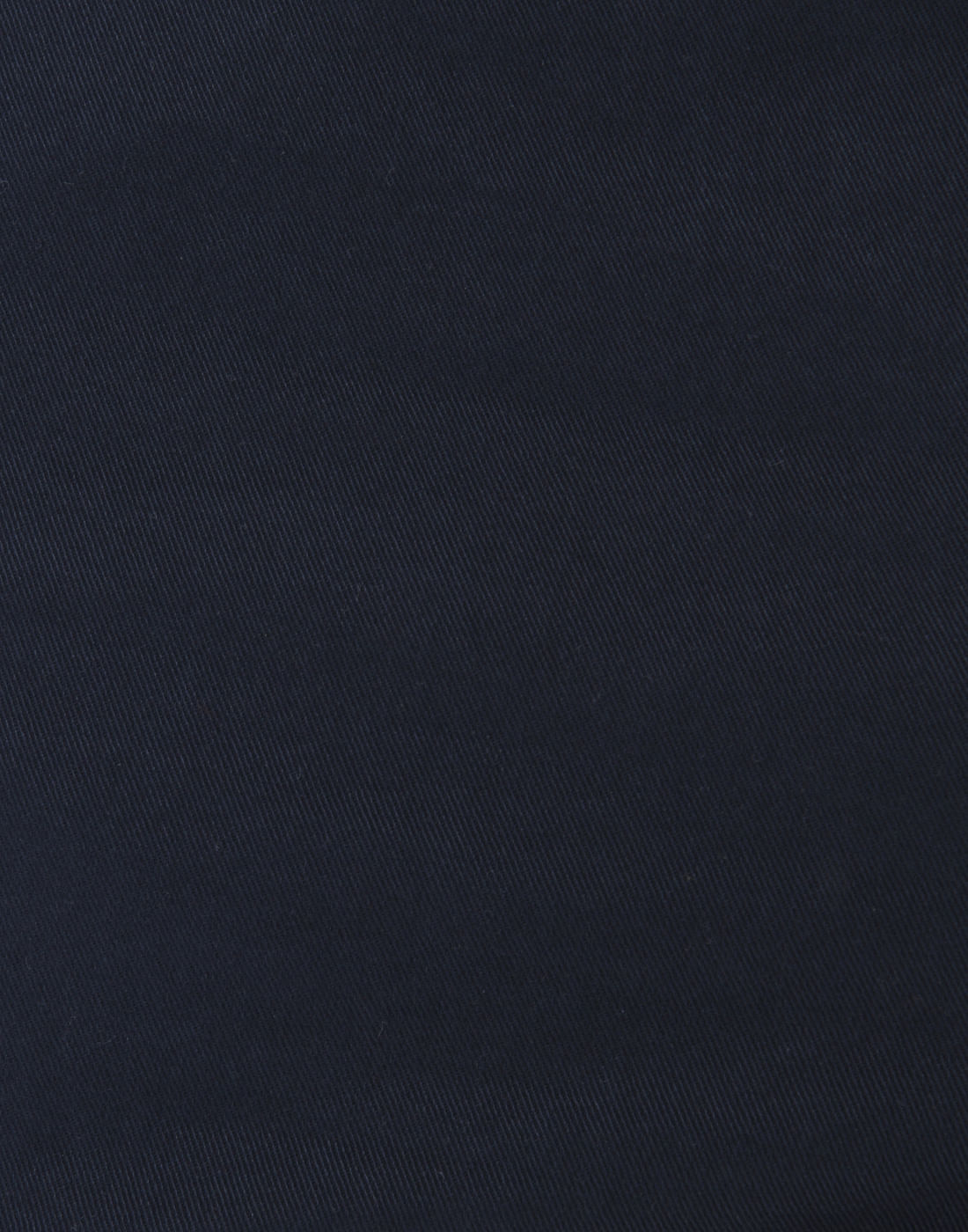Blue Regular Fit Casual Pants