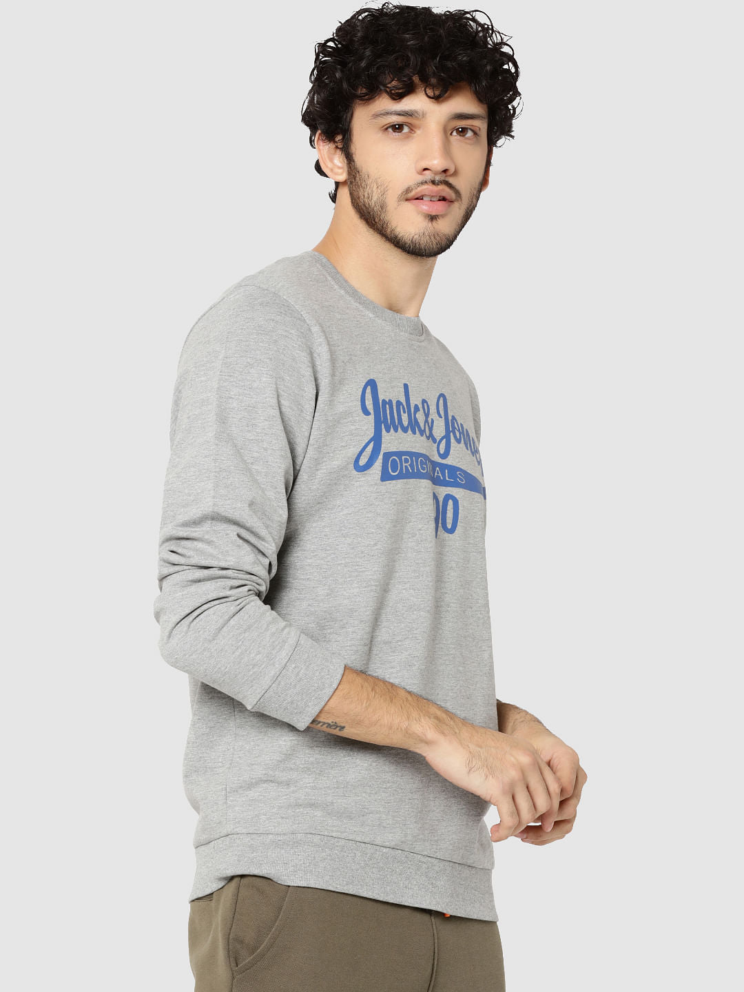 Grey Regular Fit Pullover