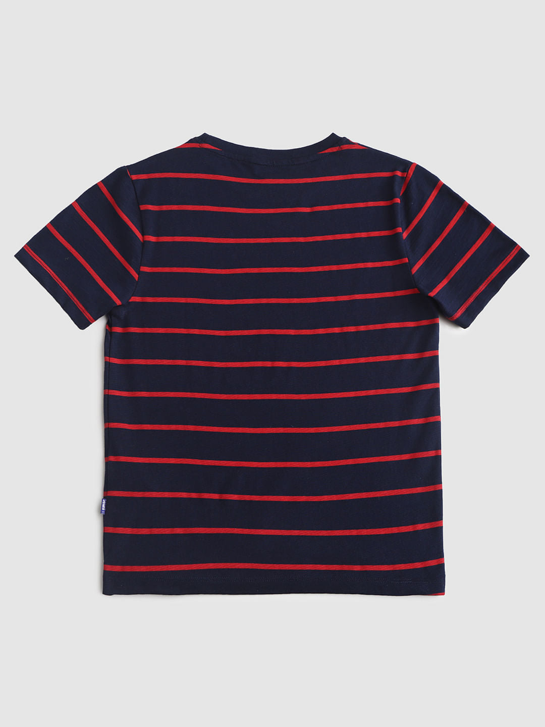 Blue Striped Crew Neck T-shirt