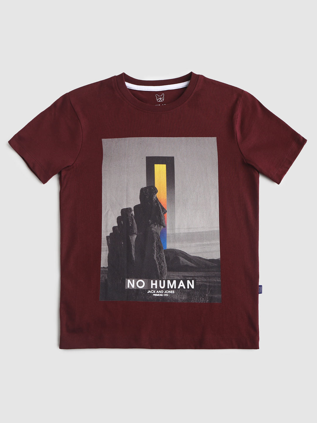 Burgundy Graphic Print Crew Neck T-shirt - 128/8Y