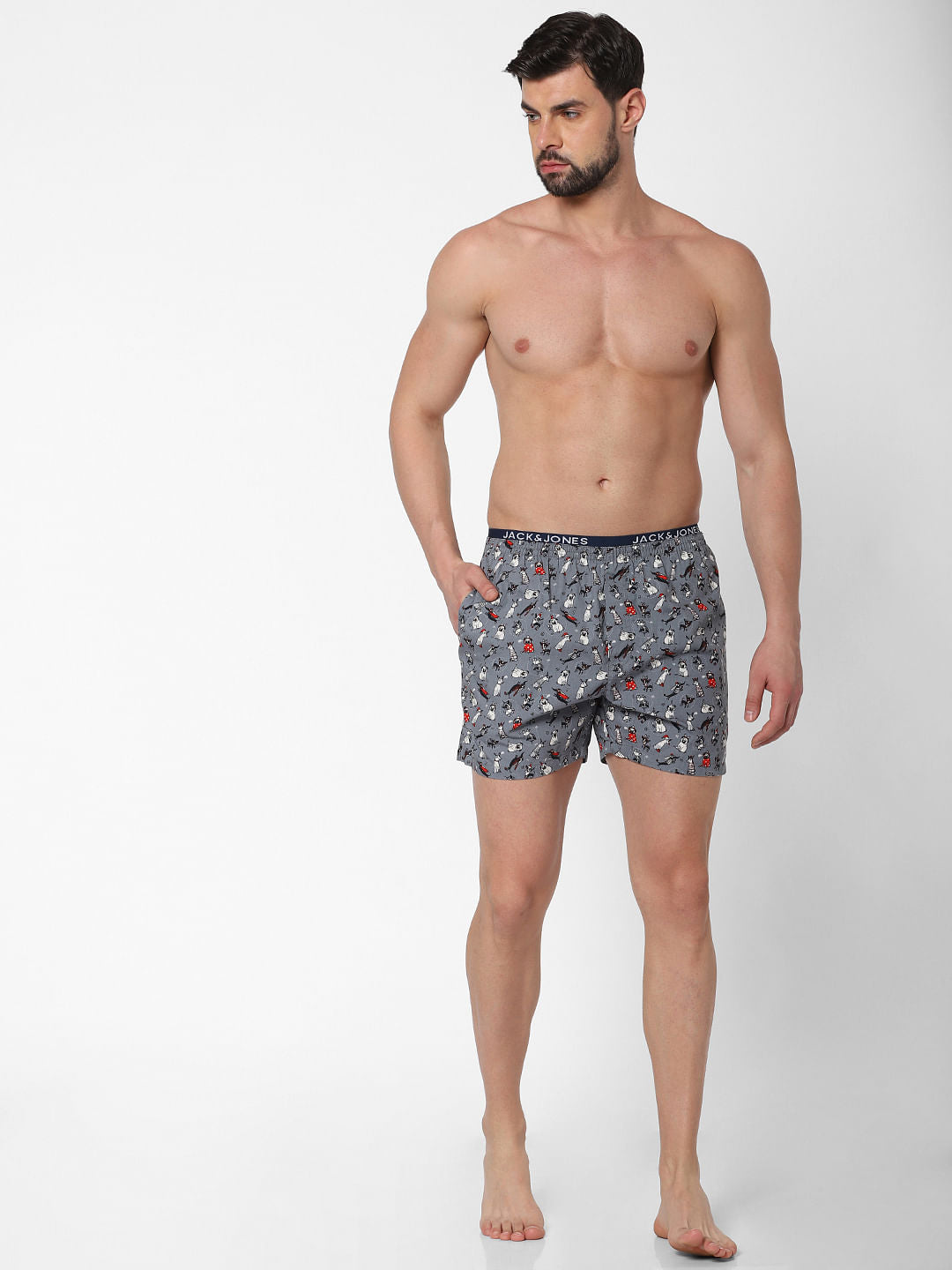 Grey Dog Print Boxers - S