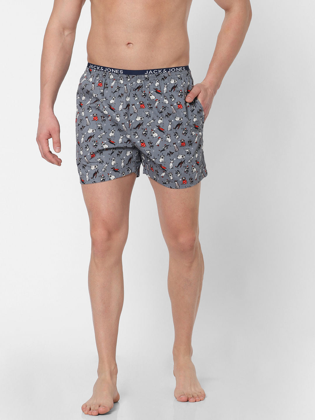 Grey Dog Print Boxers