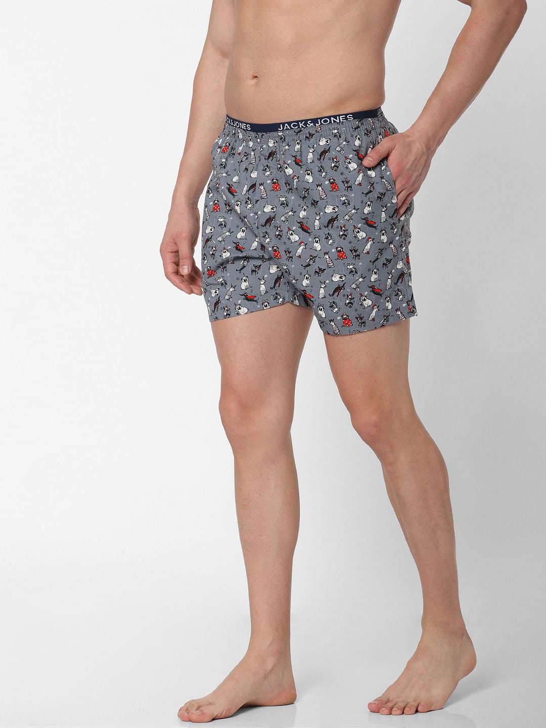 Grey Dog Print Boxers