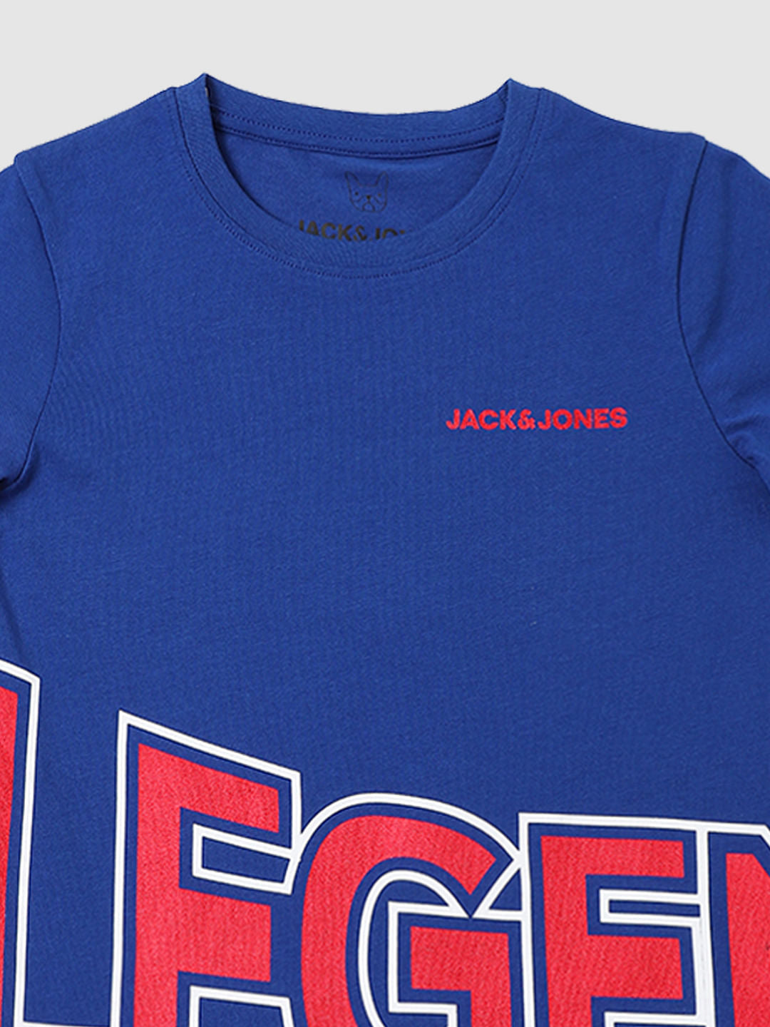 Boys Blue Graphic Print Crew Neck T-shirt