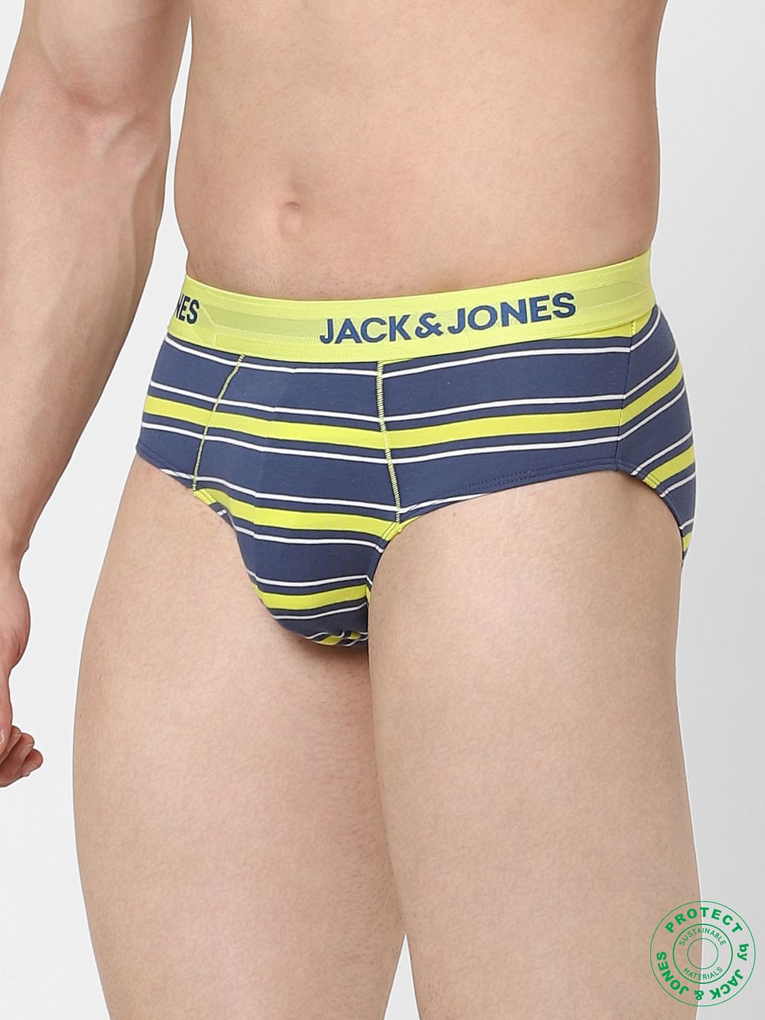 Blue Striped Briefs