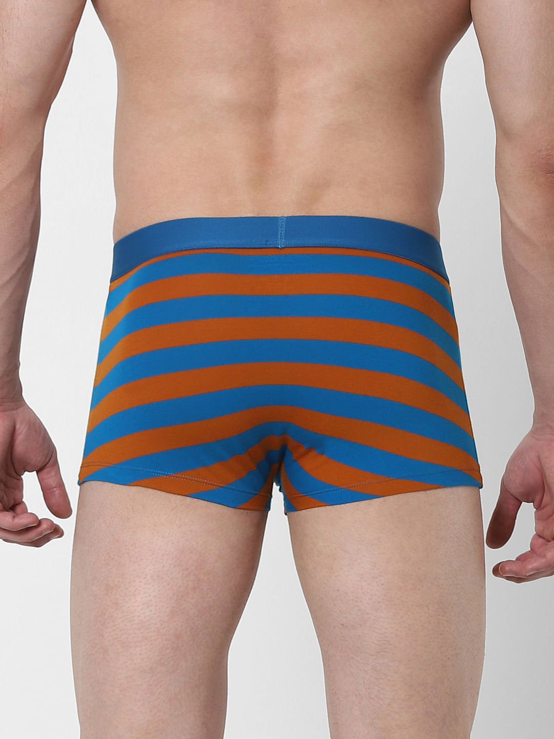Blue Striped Brazilian Trunk