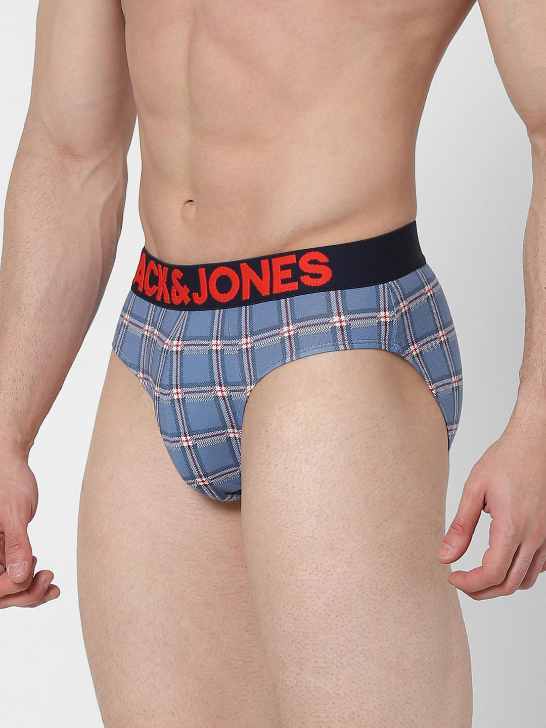 Blue Check Briefs