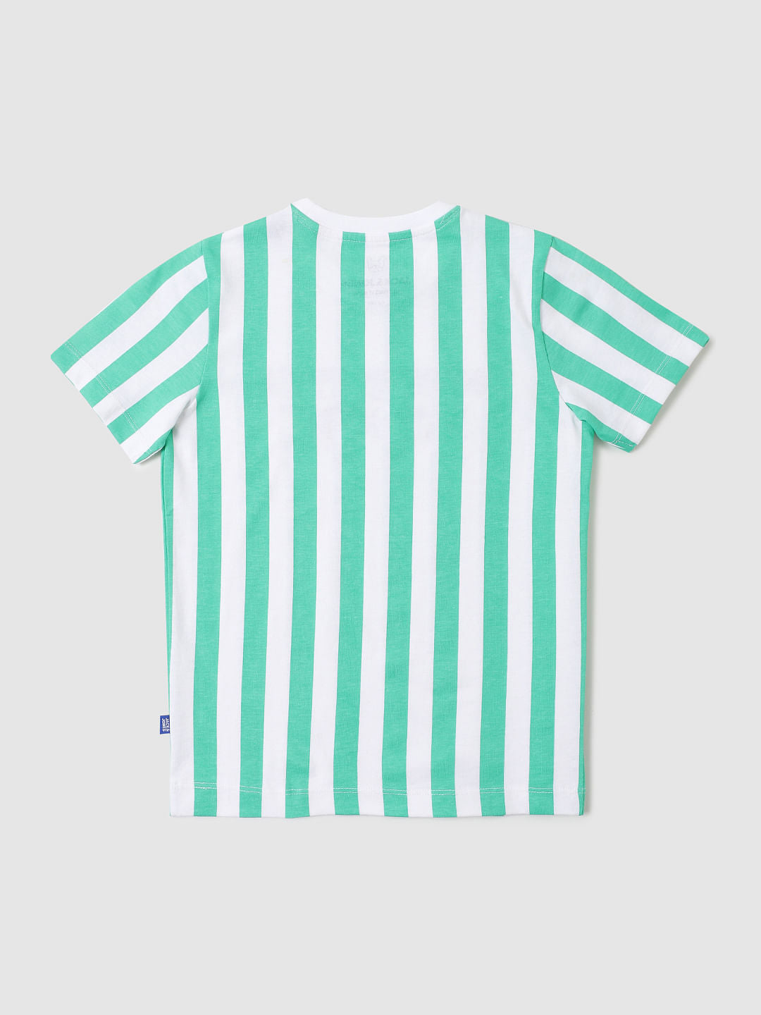 Boys Green Striped Crew Neck T-shirt