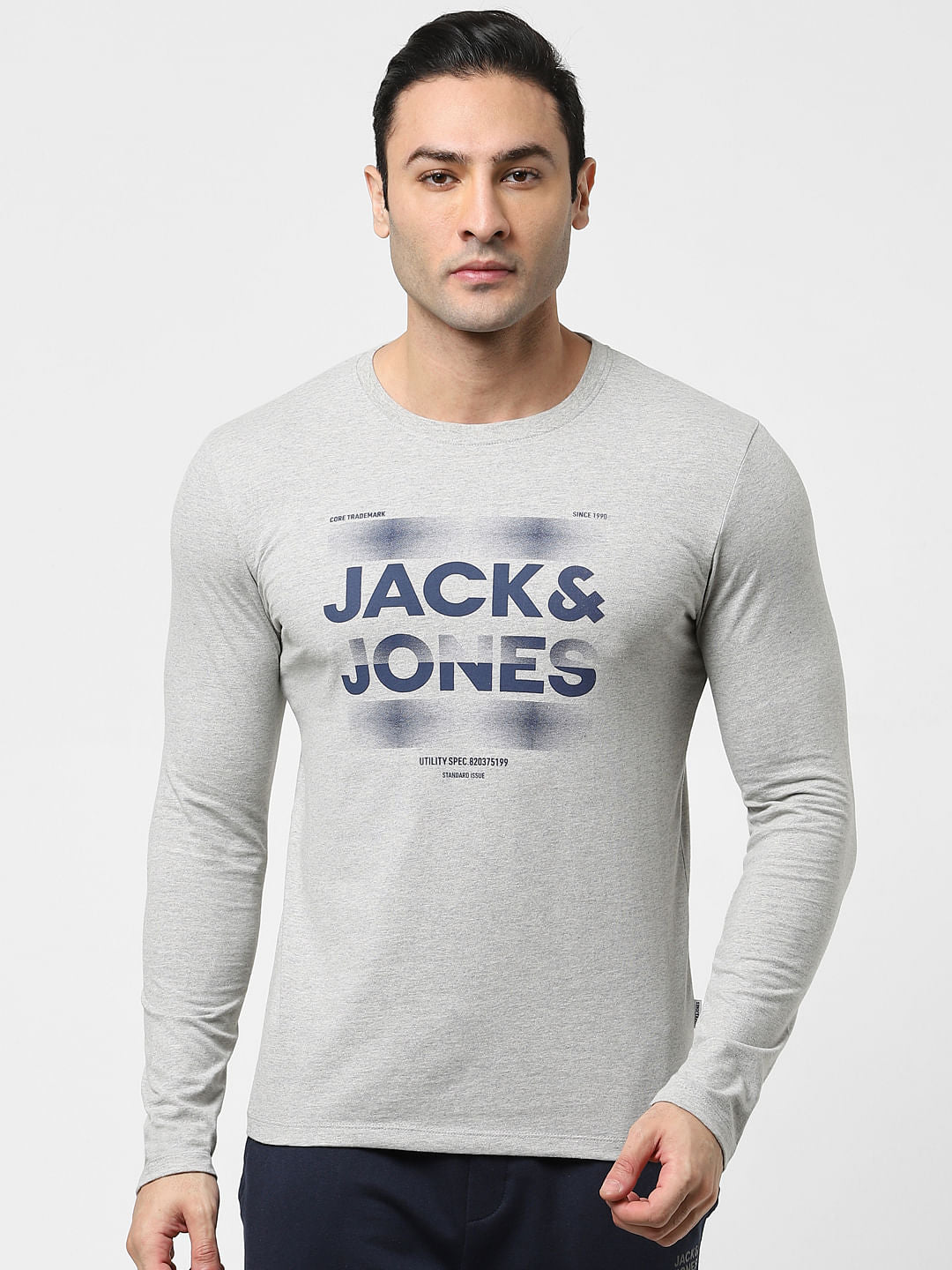 Light Grey Full Sleeves Crew Neck T-shirt