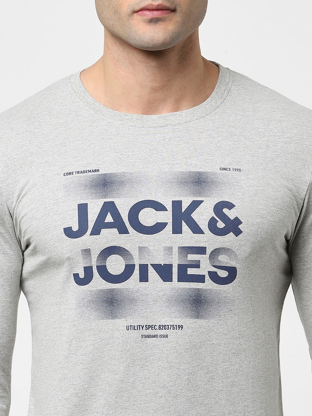 Light Grey Full Sleeves Crew Neck T-shirt