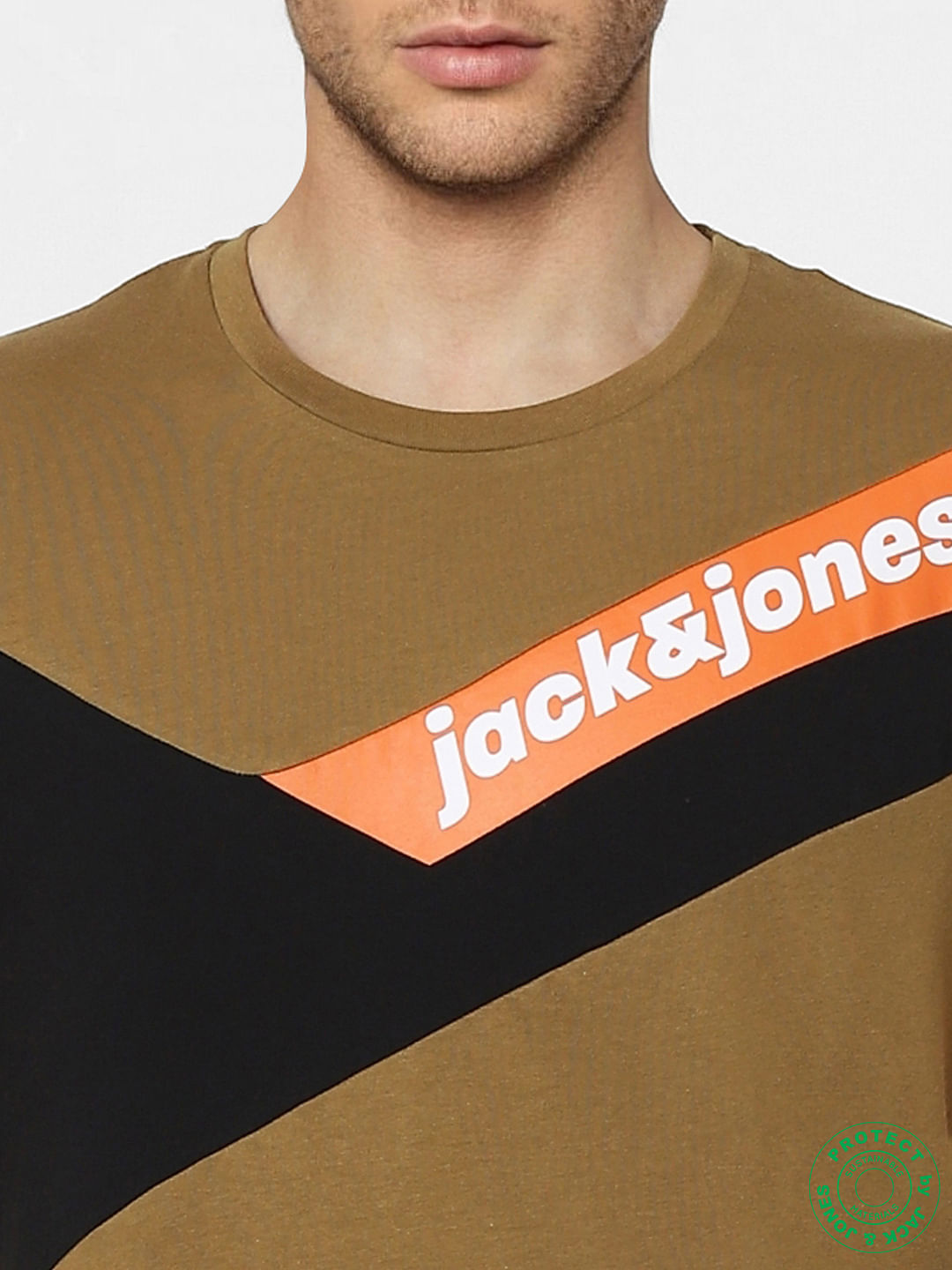 Brown Colourblocked Crew Neck T-shirt