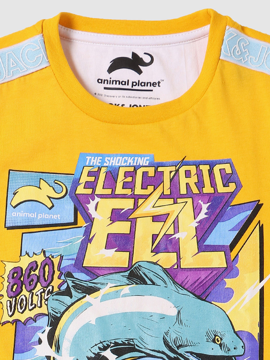 BOYS X ANIMAL PLANET Yellow Graphic Print Crew Neck T-shirt