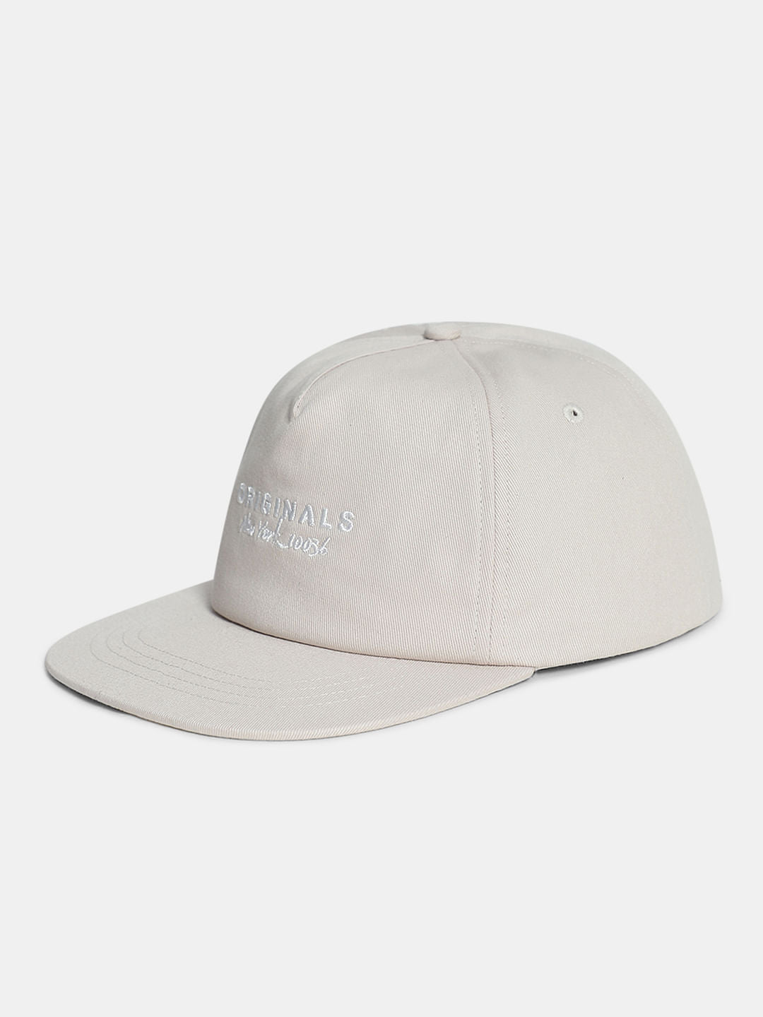 Light Grey Logo Text Cap