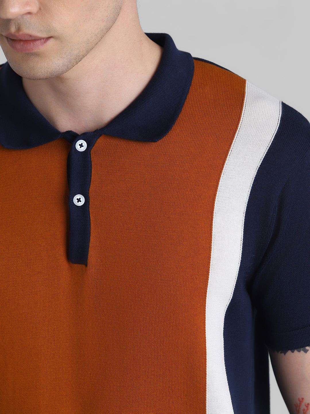 Brown Colourblocked Knit Polo