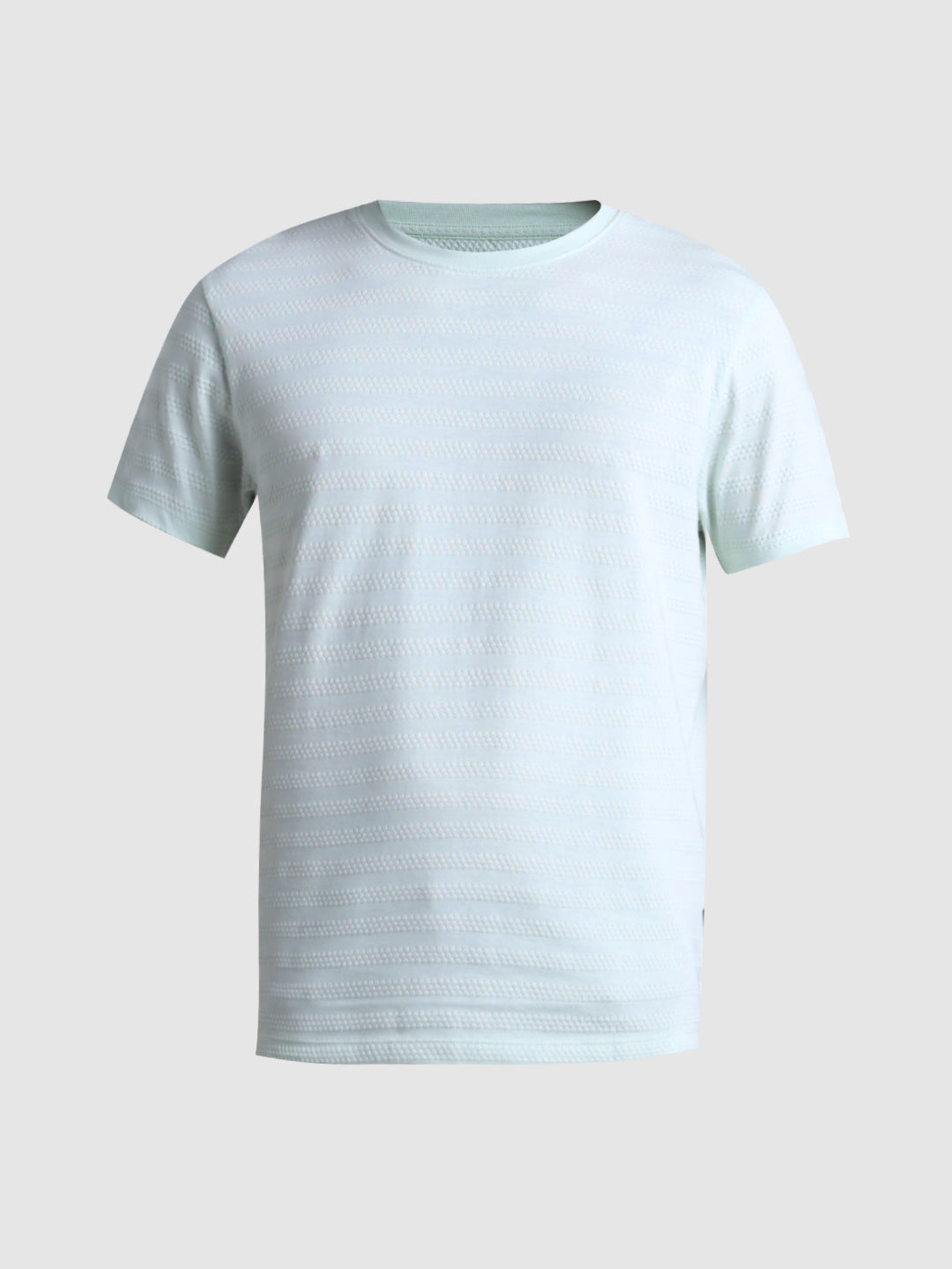 Blue Striped Slim Fit T-shirt