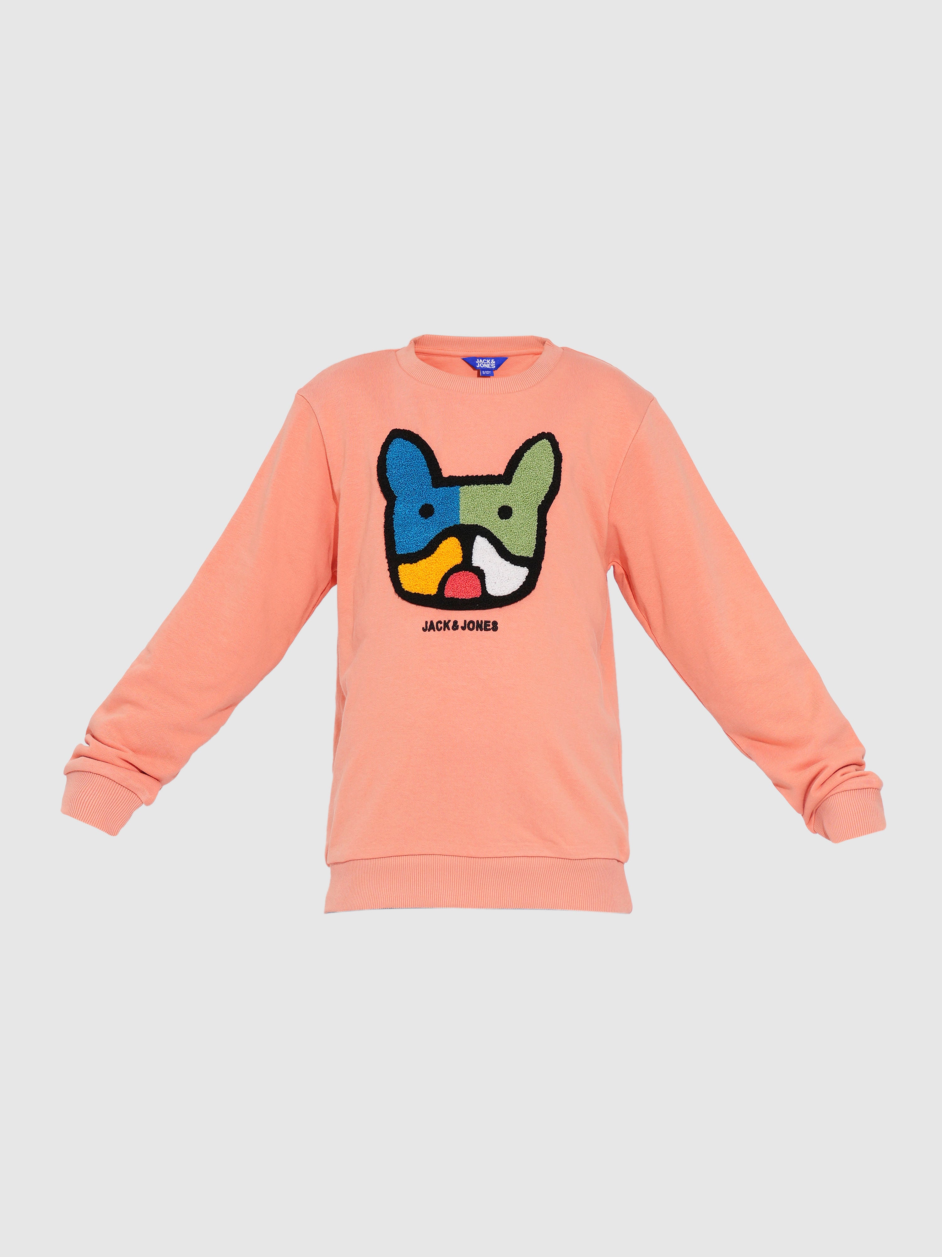 Boys Peach Applique Dog Print Sweatshirt