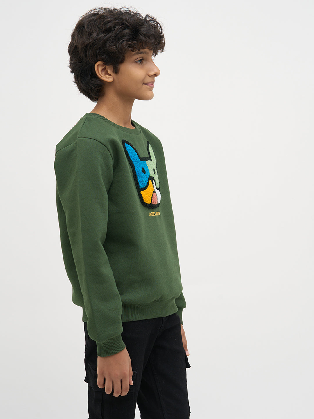 Boys Green Cotton Embroidered Crew Neck Sweatshirt