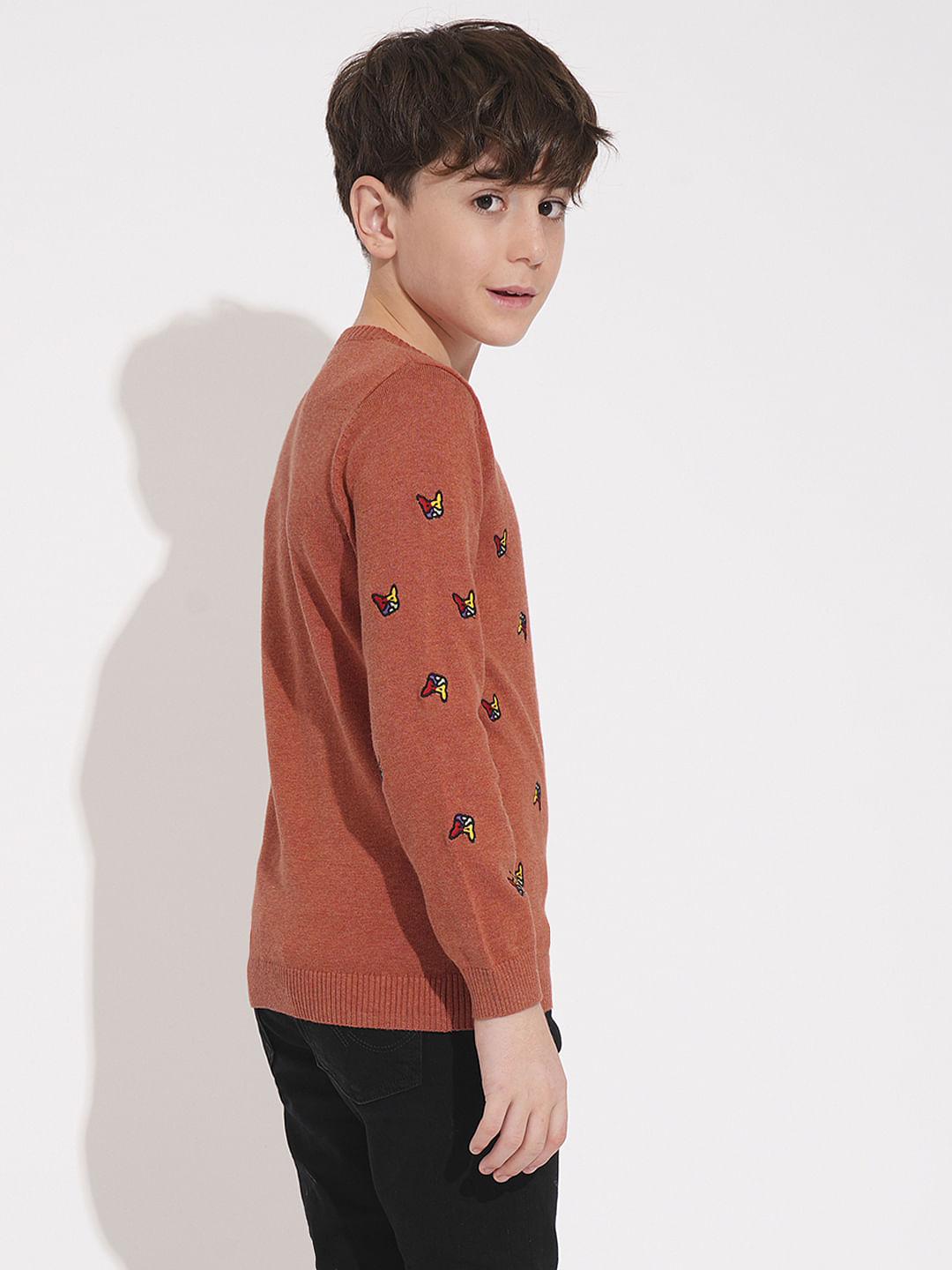 Boys Rust Frenchie Doggo Print Pullover