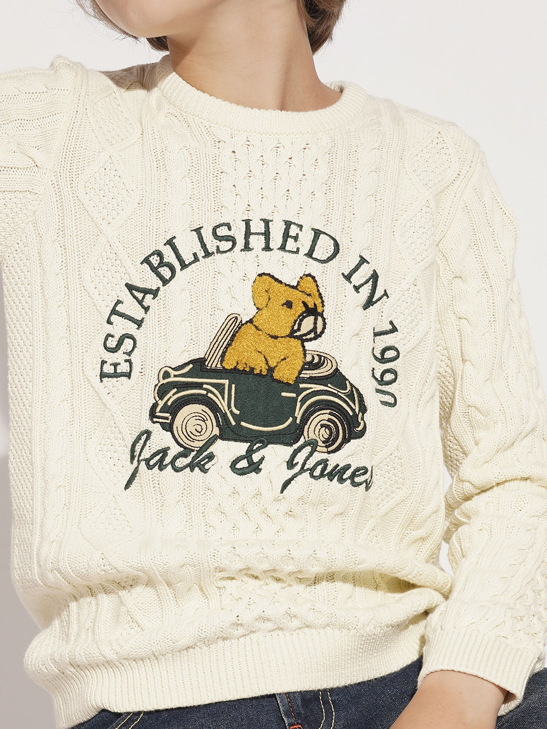 Boys Beige Knitted Printed Sweater