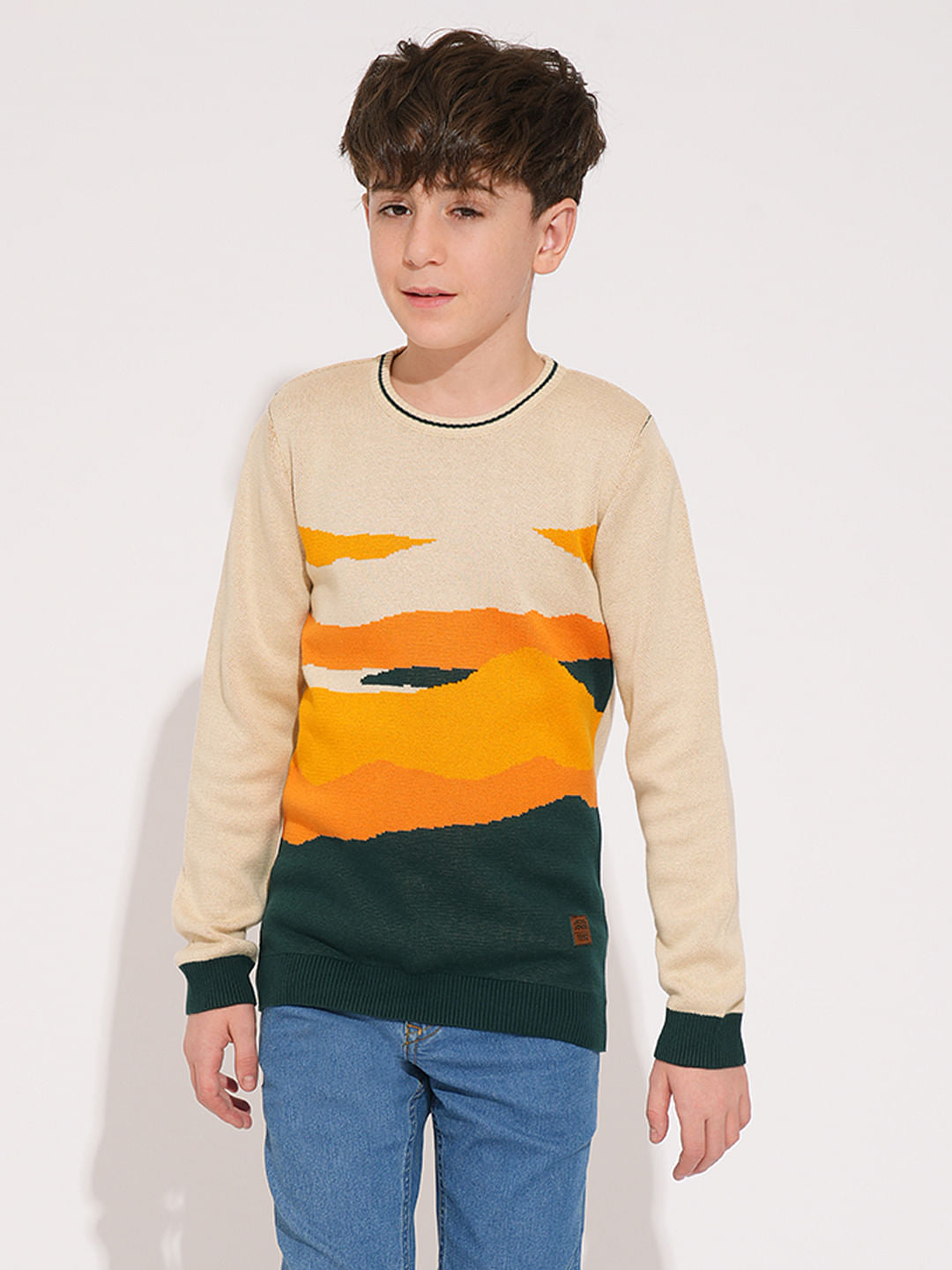 Boys Beige Printed Knitted Pullover