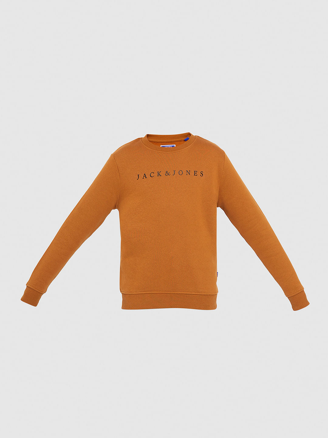 Boys Brown Logo Print Sweatshirt