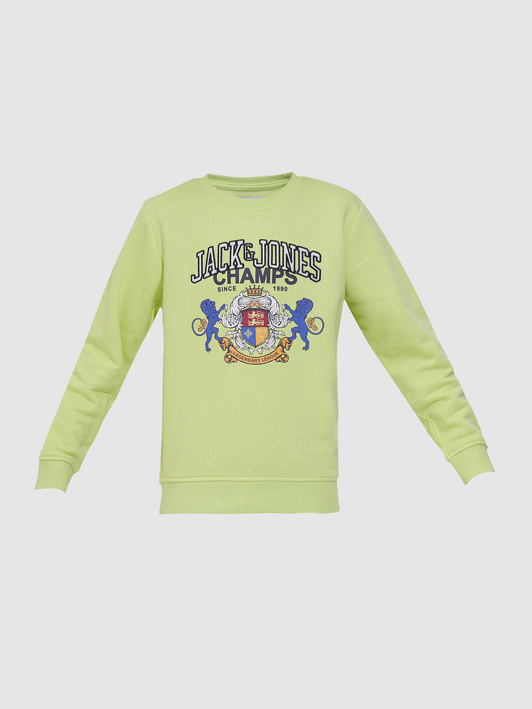 Boys Pastel Green Printed Sweatshirt