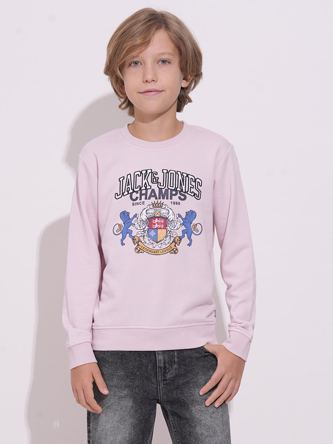 Boys Lilac Printed Sweatshirt