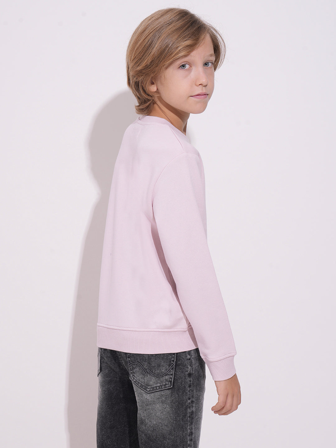 Boys Lilac Printed Sweatshirt