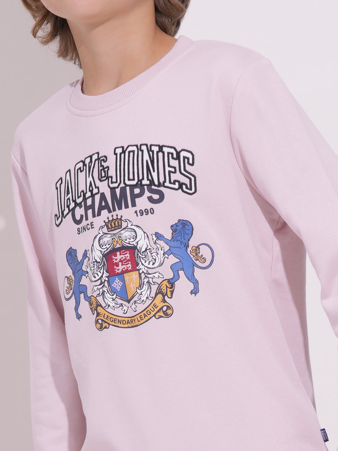 Boys Lilac Printed Sweatshirt