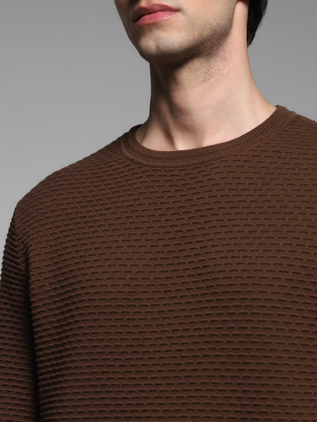 Brown Textured Crew Neck Pullover