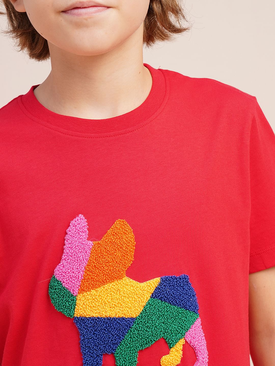Boys Red Embroidered Doggo Print T-shirt