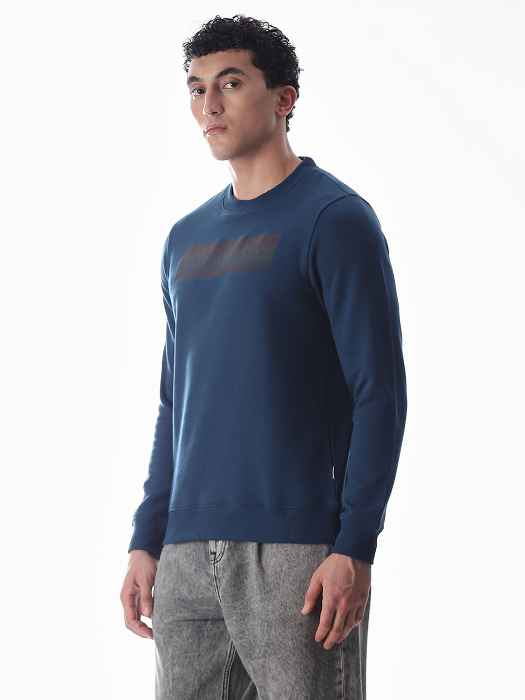 Blue Printed Regular Fit Sweatshirt