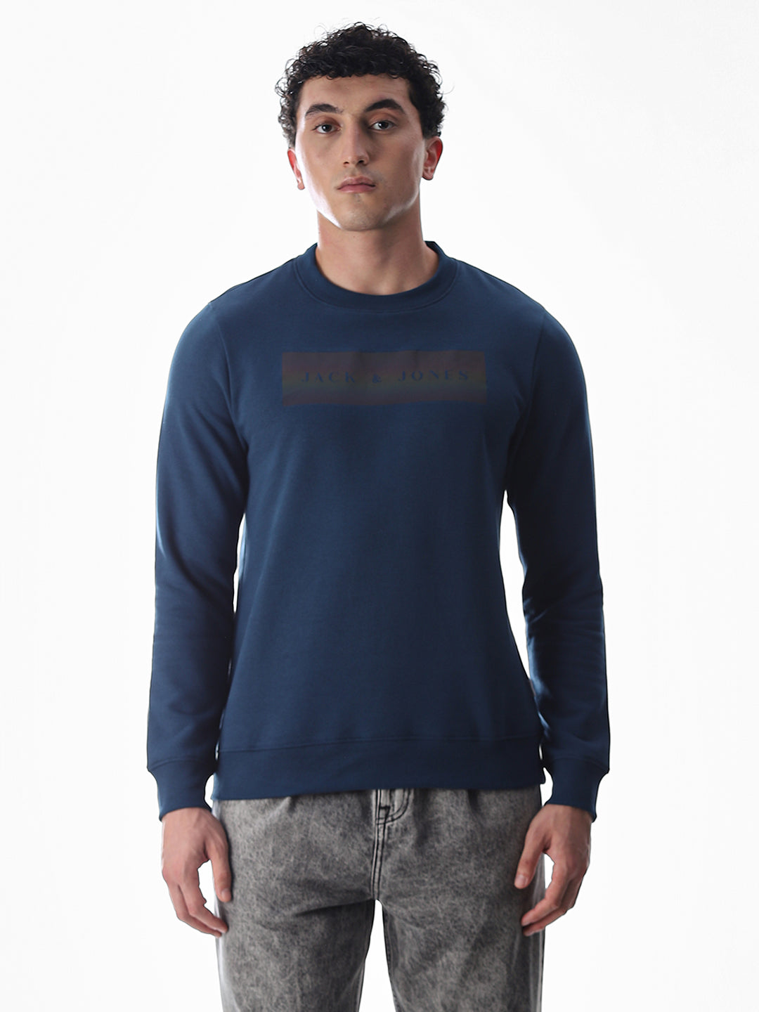Blue Printed Regular Fit Sweatshirt