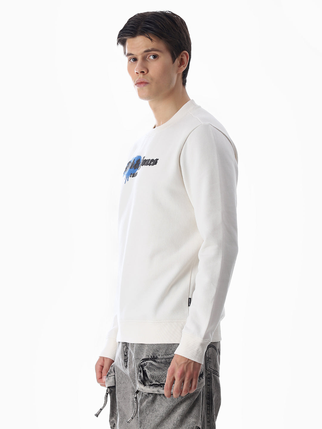 Printed Crew Neck Sweatshirt