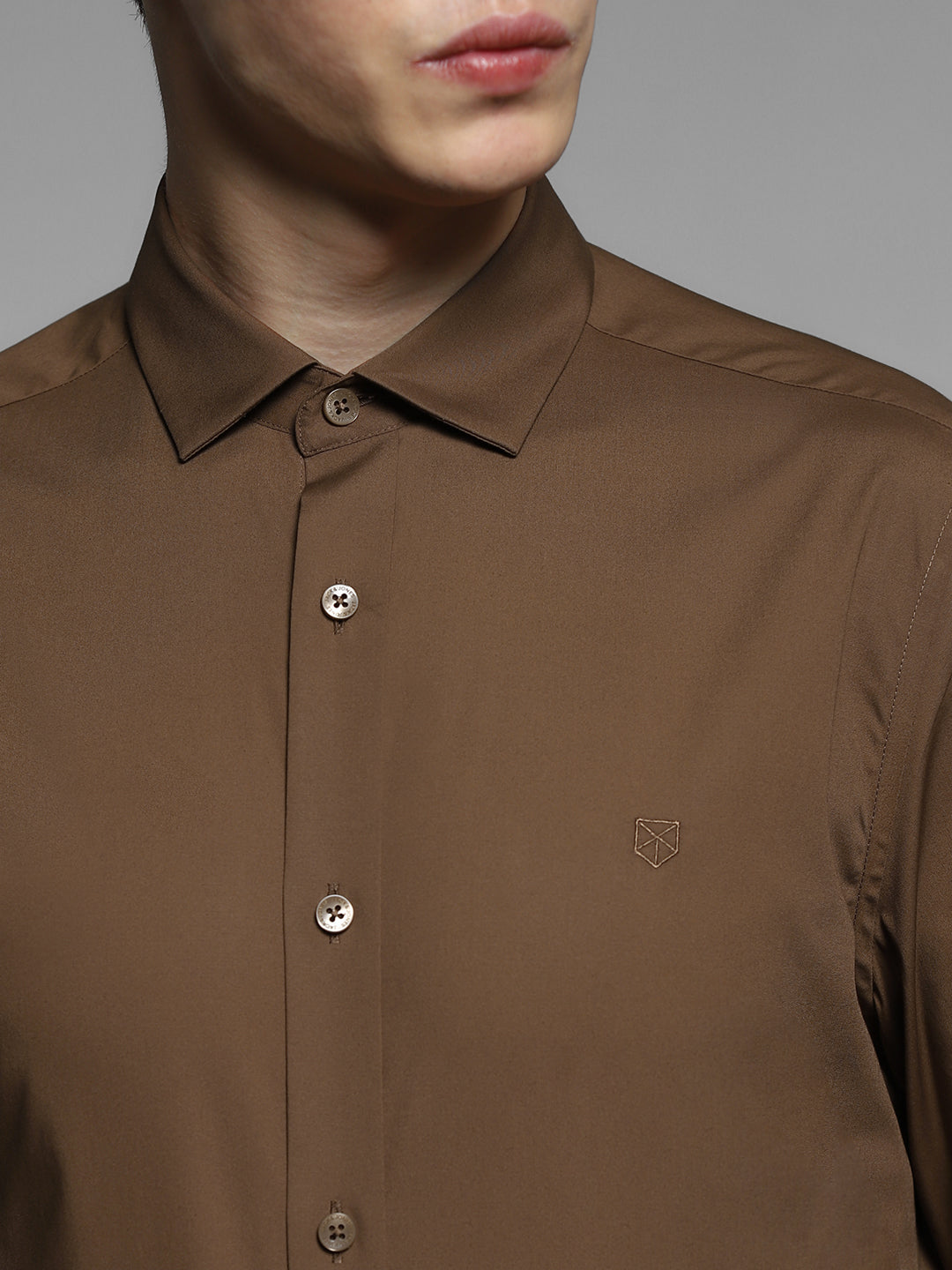 Brown Slim Fit Formal Shirt